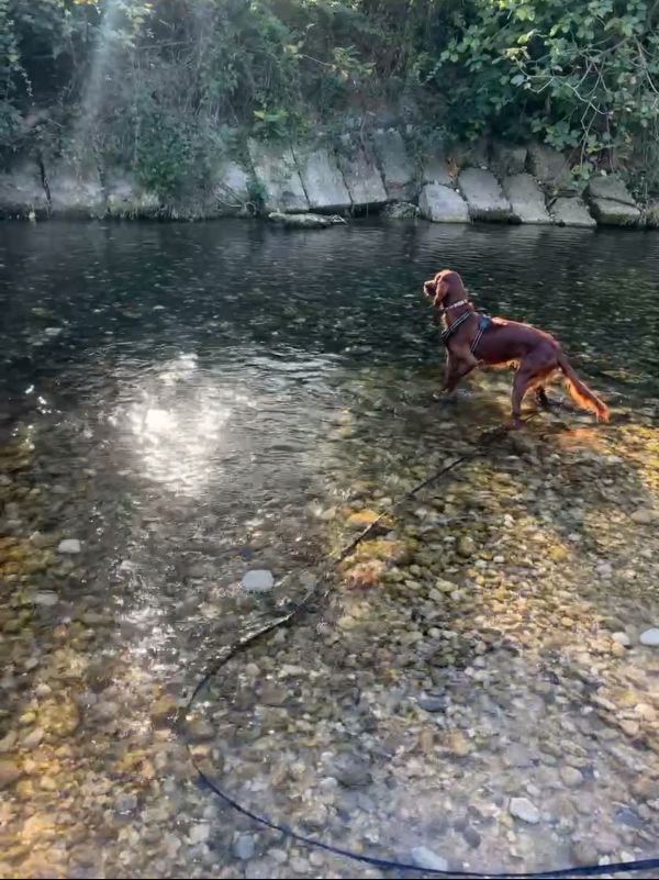 Figatelli en balade à la riviere Figatelli en balade à la riviere
