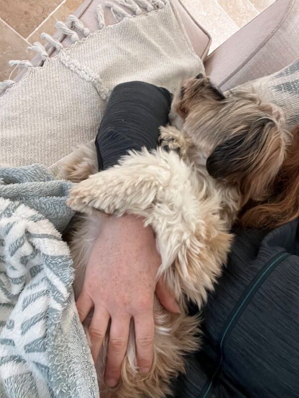 Niobé petite chienne dans les bras de solenna Niobé petite chienne dans les bras de solenna