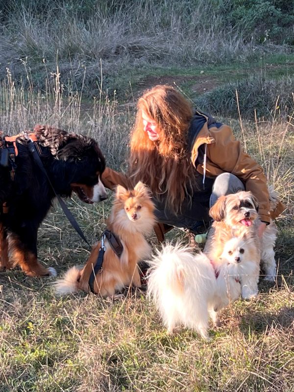 en balade avec les chiens et solenna en balade avec les chiens et solenna
