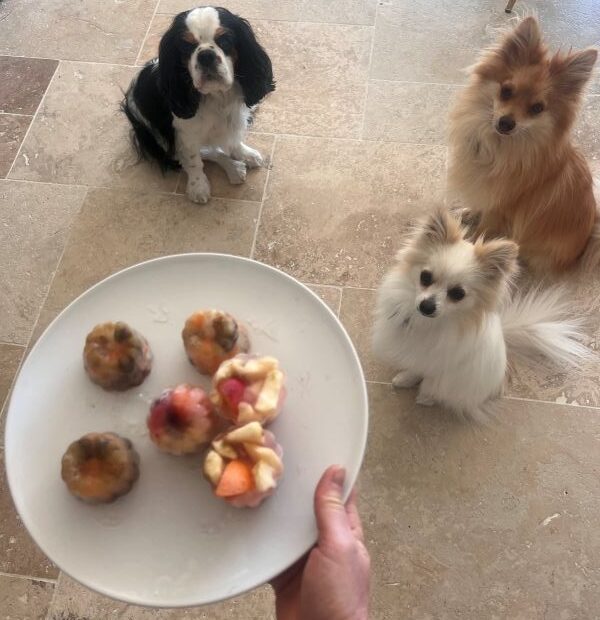 goûter d'été pour les toutous