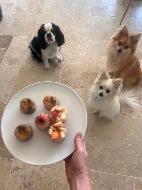Gouter aux fruits glacés pour l'été à la pension chez Fox et Lily Gouter aux fruits glacés pour l'été à la pension chez Fox et Lily